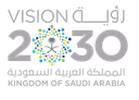 Vision 2030 Logo